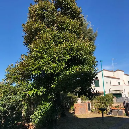 Apartamento Gelso *