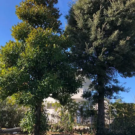 Διαμέρισμα Gelso